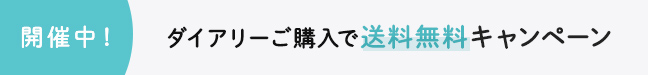 ダイアリー1点で送料無料ラストチャンス