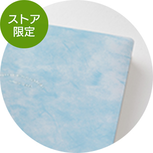 限定【プロフェッショナルダイアリー選べるリフィルセット（PRD）】 A5スリム 空 手帳 2026年版