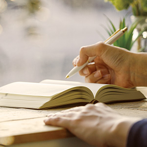 2026年版「ミドリ」の手帳・ダイアリー