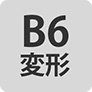 B6変形判