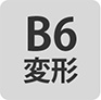 B6変形判