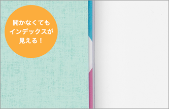 表紙を開かなくてもインデックスの色が分かるよう、カバーの端が透明になっています。