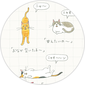 猫の鳴き声にまつわるコラムで猫語を解読！