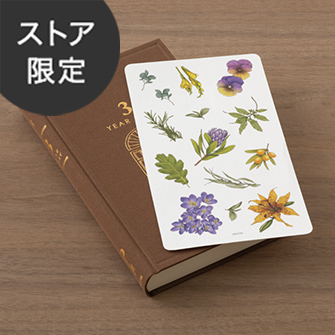 ビュバー