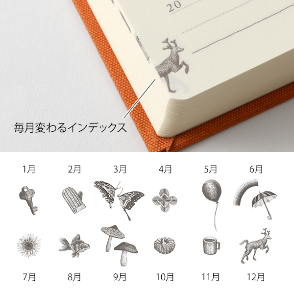 日記｜5年連用日記 扉 ミニ オレンジ（赤）(12716006)｜ミドリ