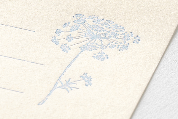 花色和紙 ミニレターセット 白(86937006)｜ミドリオンラインストア