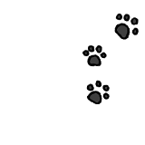 肉球アイコン左