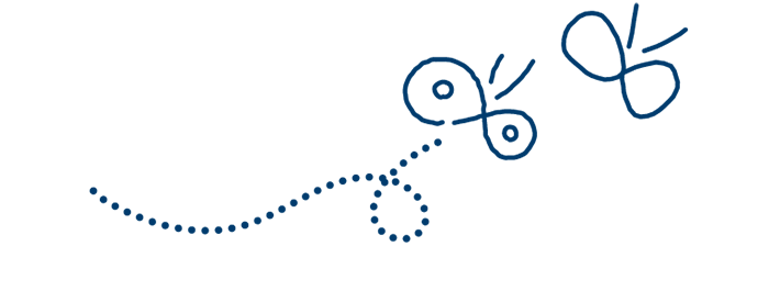 ミニレターの使い方 ミドリオンラインストア