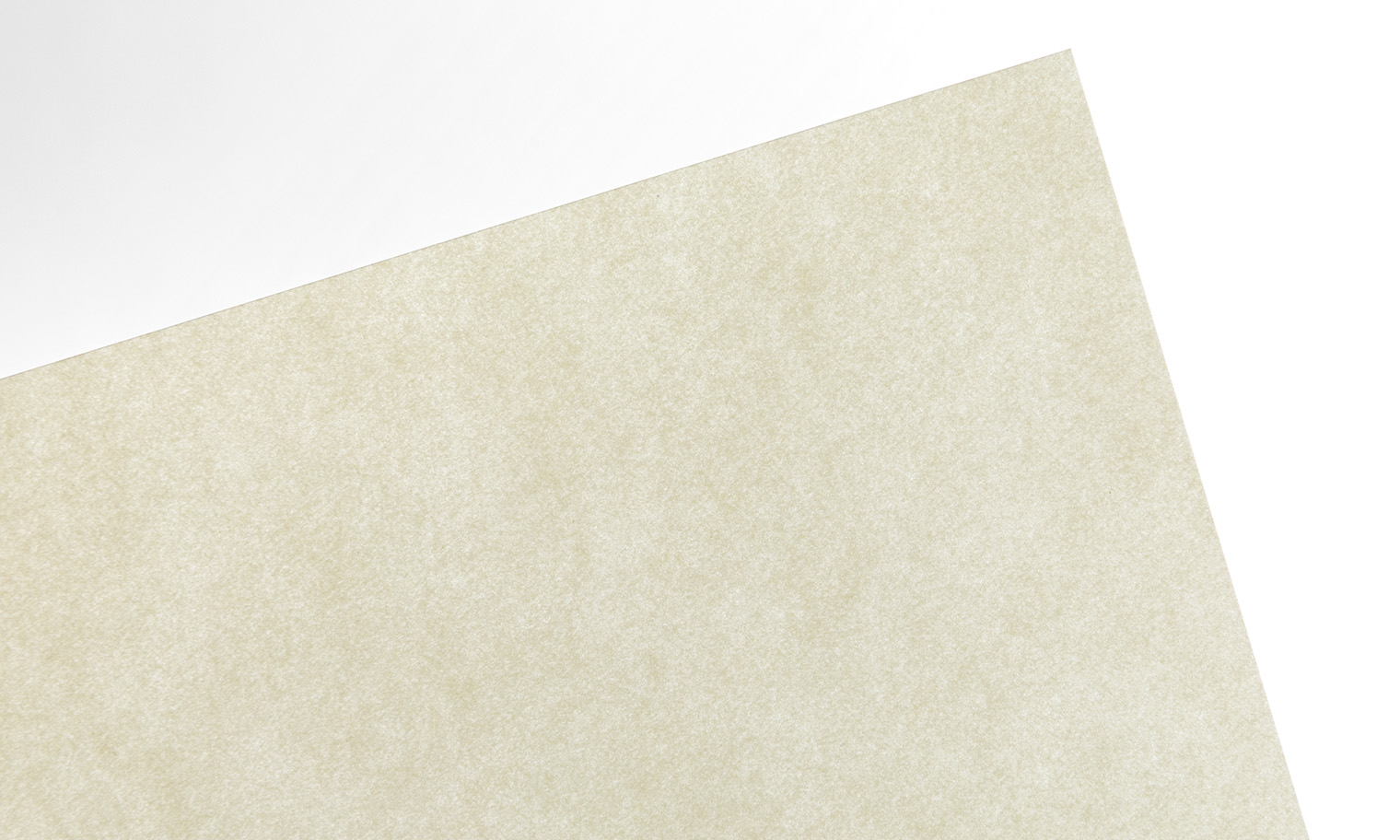 「MD用紙」（クリーム）の透け感がわかる画像