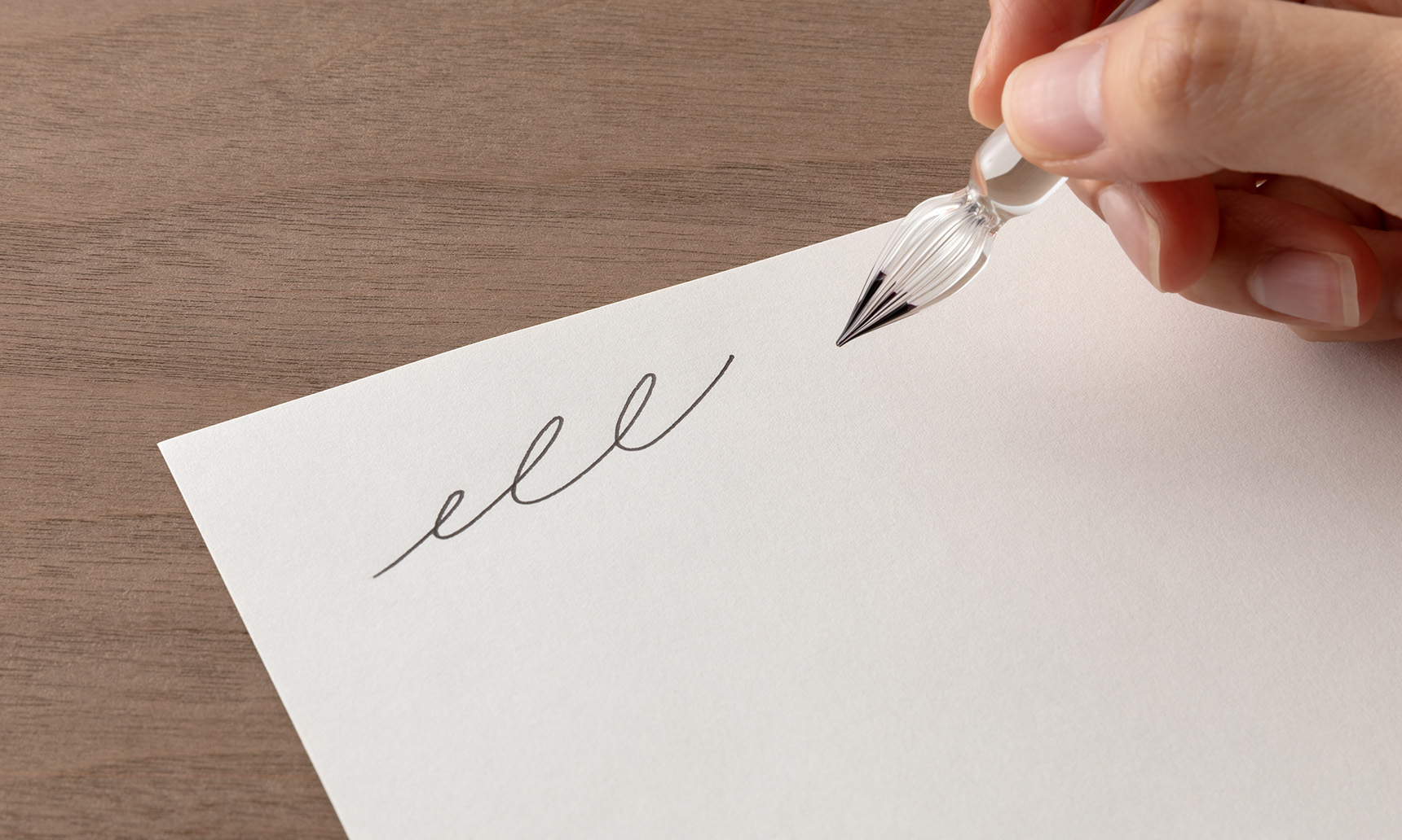 コットンらしい柔らかな白さと、鉛筆や色鉛筆との相性の良さで絵を描くのにもおすすめの「MD用紙コットン」