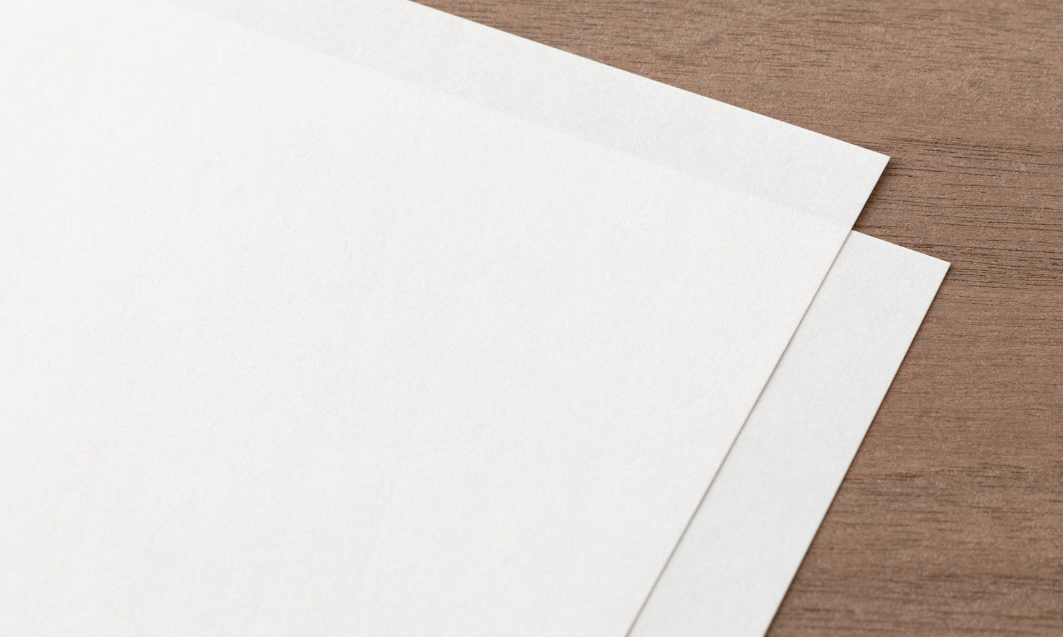 「MN用紙」2枚を重ねた様子