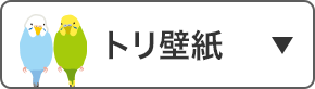 トリ壁紙
